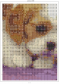 /album/esquemas-no-estan-completos-como-ejemplos-/perritos-9-png/